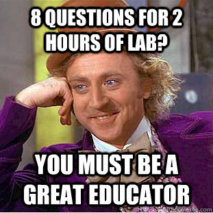 8 questions for 2 hours of lab? you must be a great educator  Creepy Wonka