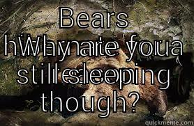 BEARS HIBERNATE FOR A REASON WHY ARE YOU STILL SLEEPING THOUGH?  Misc