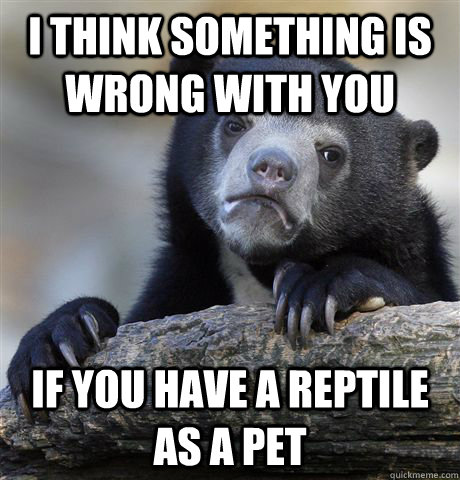 I think something is wrong with you if you have a reptile as a pet  Confession Bear