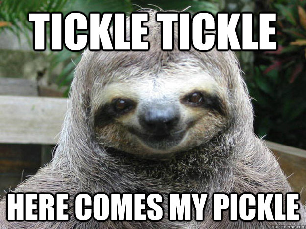 Tickle Tickle Here Comes my pickle - Tickle Tickle Here Comes my pickle  Creeper Sloth