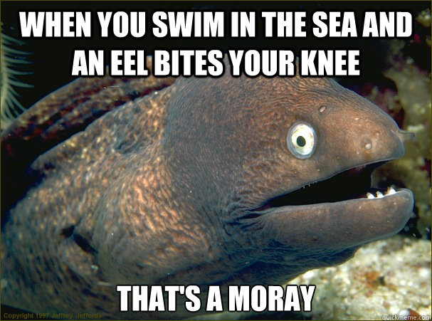 When you swim in the sea and an eel bites your knee That's a Moray  Bad Joke Eel