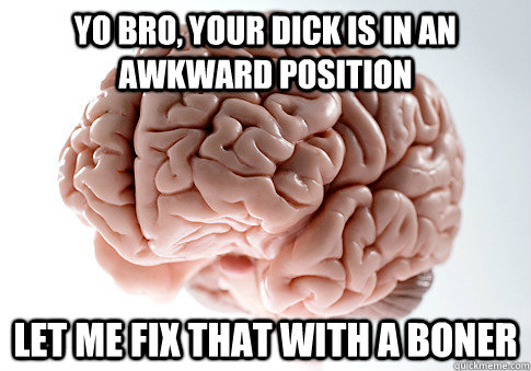 Yo bro, your dick is in an awkward position Let me fix that with a boner   Scumbag Brain