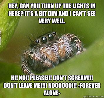 Hey, can you turn up the lights in here? It's a bit Dim and I can't see very well. Hi! NO!! PLEASE!!! Don't scream!!! Don't leave me!!!! NOOOOOO!!! -forever alone- - Hey, can you turn up the lights in here? It's a bit Dim and I can't see very well. Hi! NO!! PLEASE!!! Don't scream!!! Don't leave me!!!! NOOOOOO!!! -forever alone-  Misunderstood Spider