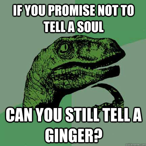 If you promise not to tell a soul Can you still tell a ginger? - If you promise not to tell a soul Can you still tell a ginger?  Philosoraptor