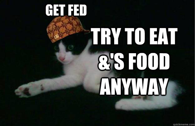 Get fed Try to eat &'s food anyway  