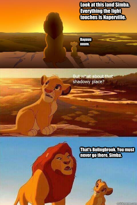 Look at this land Simba. Everything the light touches is Naperville. Dayuuuuuum. That's Bolingbrook. You must never go there, Simba.   Lion King Shadowy Place