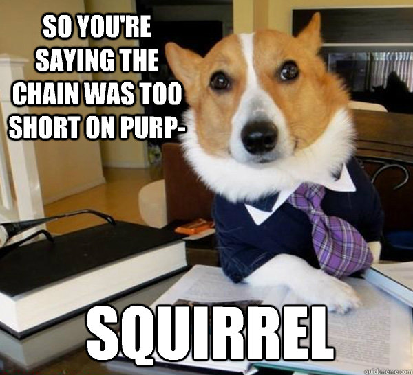 So you're saying the chain was too short on purp- SQUIRREL  Lawyer Dog