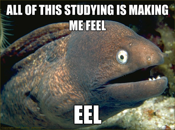 All of this studying is making me feel eel  Bad Joke Eel