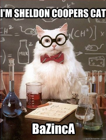 I'M SHELDON COOPERS CAT BaZincA  Chemistry Cat