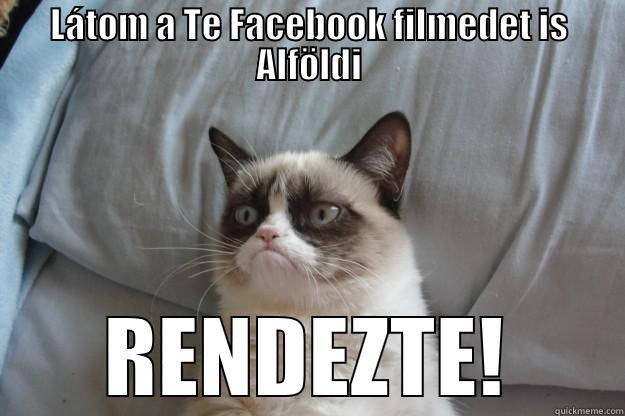 LÁTOM A TE FACEBOOK FILMEDET IS ALFÖLDI RENDEZTE! Grumpy Cat