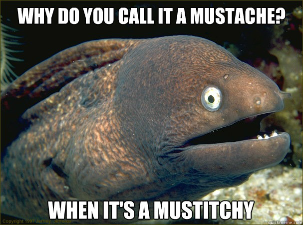 why do you call it a mustache? when it's a mustitchy  Bad Joke Eel