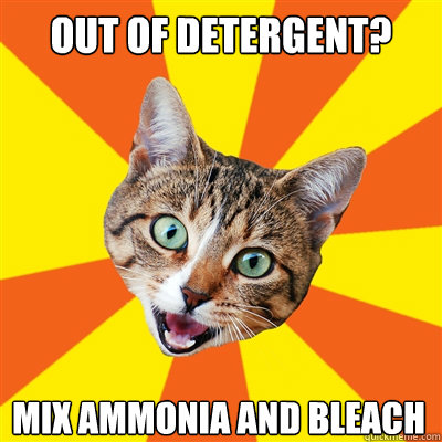 Out of detergent? mix ammonia and bleach  - Out of detergent? mix ammonia and bleach   Bad Advice Cat