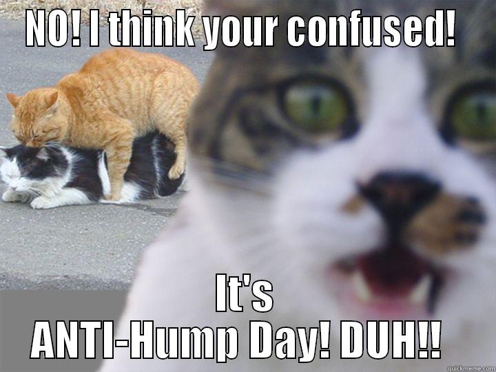 NO! I THINK YOUR CONFUSED!  IT'S ANTI-HUMP DAY! DUH!!   Misc