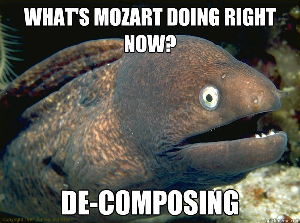 what's mozart doing right now? De-composing  Bad Joke Eel