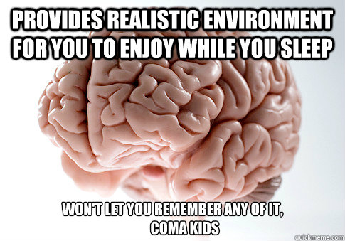 Provides realistic environment for you to enjoy while you sleep 
won't let you remember any of it,
         coma kids  Scumbag Brain