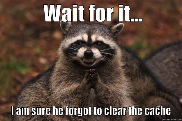            WAIT FOR IT...            I AM SURE HE FORGOT TO CLEAR THE CACHE Evil Plotting Raccoon