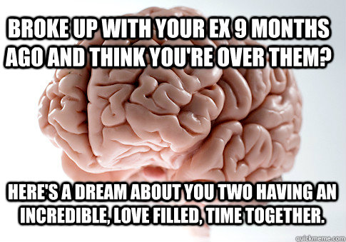 Broke up with your Ex 9 months ago and think you're over them?  here's a dream about you two having an incredible, love filled, time together.    Scumbag Brain