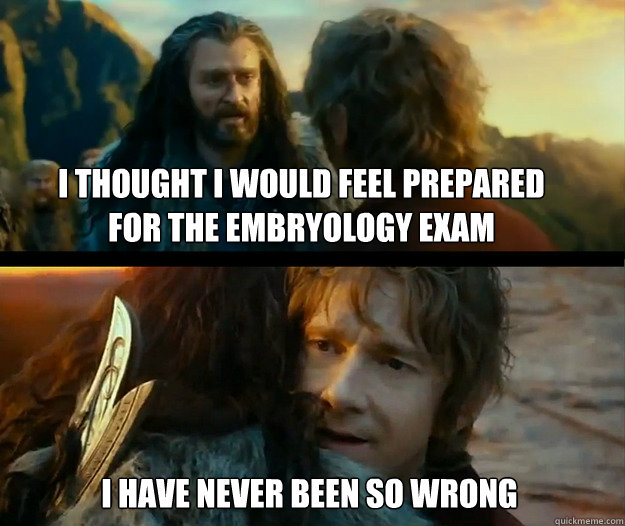 I thought I would feel prepared for the embryology exam I have never been so wrong - I thought I would feel prepared for the embryology exam I have never been so wrong  Sudden Change of Heart Thorin