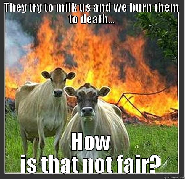 Evil Cows - THEY TRY TO MILK US AND WE BURN THEM TO DEATH... HOW IS THAT NOT FAIR? Evil cows