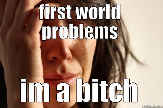 FIRST WORLD PROBLEMS IM A BITCH First World Problems