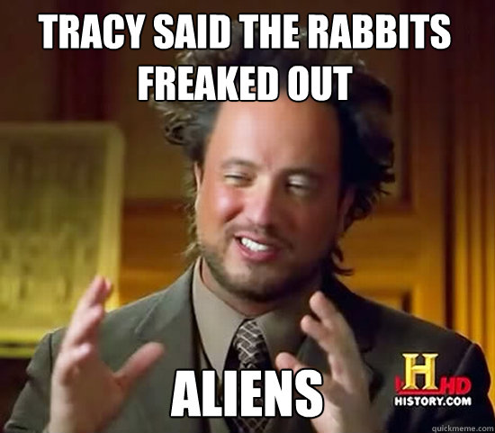 Tracy said the rabbits freaked out aliens - Tracy said the rabbits freaked out aliens  Ancient Aliens