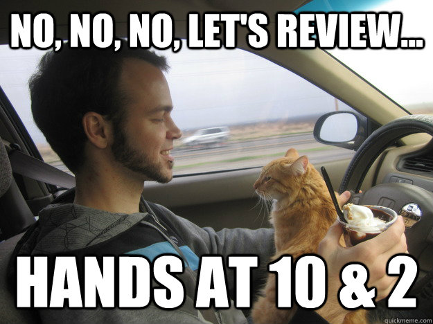 No, no, no, let's review... Hands at 10 & 2 - No, no, no, let's review... Hands at 10 & 2  Driver Training Cat