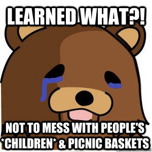 Learned what?! Not to mess with people's *children* & Picnic Baskets  