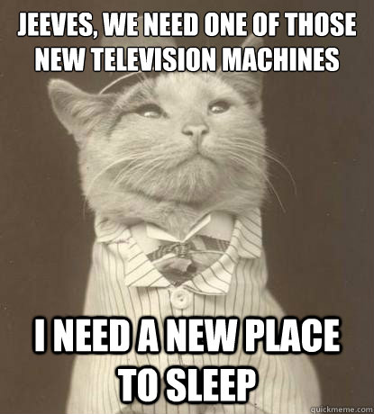 jeeves, we need one of those new television machines i need a new place to sleep  Aristocat