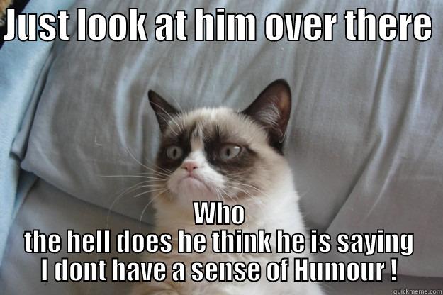 JUST LOOK AT HIM OVER THERE  WHO THE HELL DOES HE THINK HE IS SAYING I DONT HAVE A SENSE OF HUMOUR ! Grumpy Cat