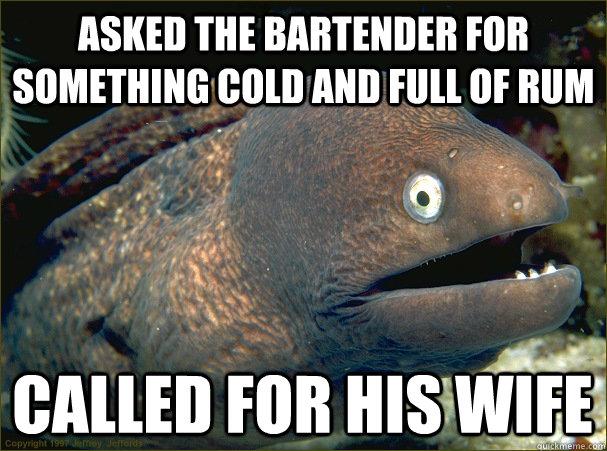 Asked the bartender for something cold and full of rum called for his wife  Bad Joke Eel