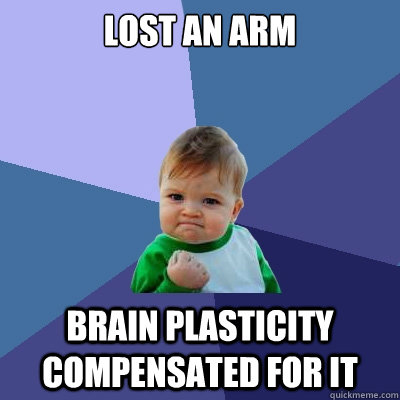 Lost an arm Brain plasticity compensated for it  Success Kid