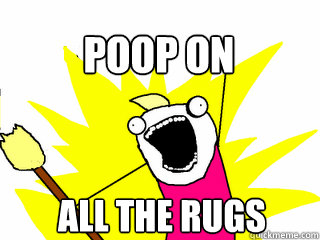 ALL THE rugs Poop on  - ALL THE rugs Poop on   All The Thigns