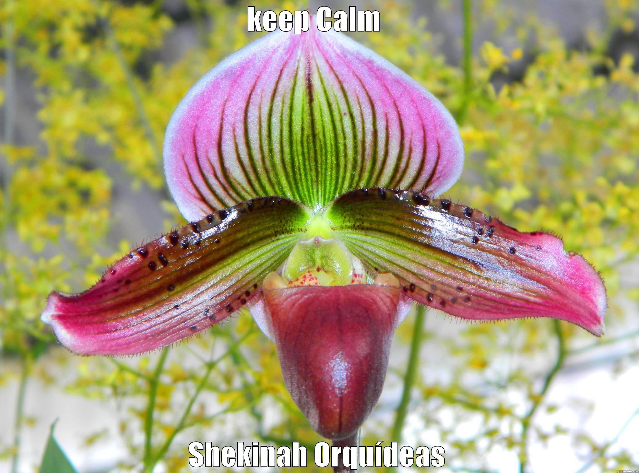 KEEP CALM  SHEKINAH ORQUÍDEAS Misc