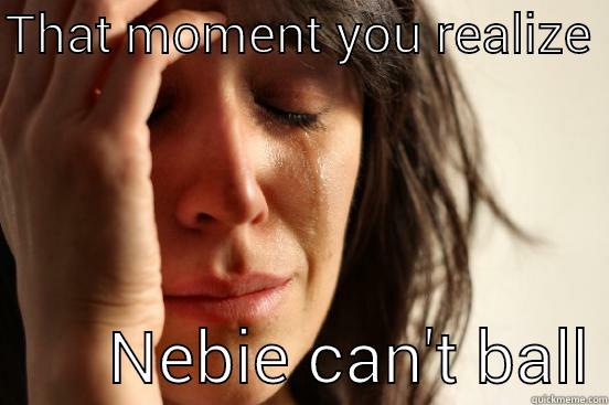 THAT MOMENT YOU REALIZE         NEBIE CAN'T BALL First World Problems