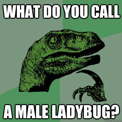 What do you call A male ladybug?  Philosoraptor