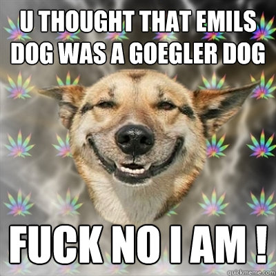 U THOUGHT THAT EMILS DOG WAS A GOEGLER DOG FUCK NO I AM !  Stoner Dog