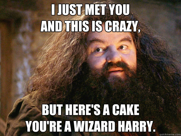 I just met you 
and this is crazy,  but here's a cake 
you're a wizard Harry.  Hagrid