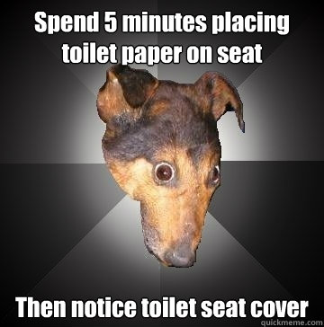 Spend 5 minutes placing toilet paper on seat Then notice toilet seat cover  Depression Dog