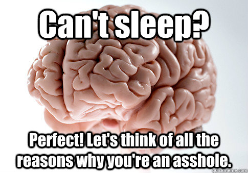 Can't sleep? Perfect! Let's think of all the reasons why you're an asshole.    Scumbag Brain