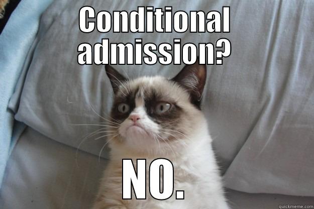 CONDITIONAL ADMISSION? NO. Grumpy Cat