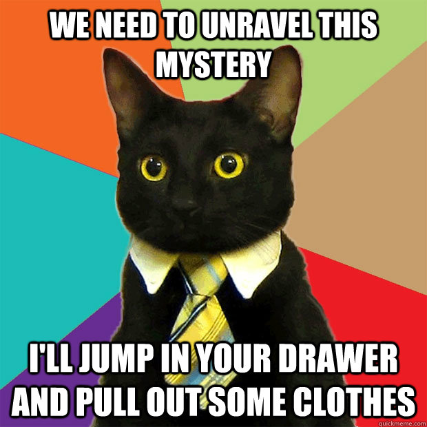 We need to unravel this mystery I'll jump in your drawer and pull out some clothes  Business Cat