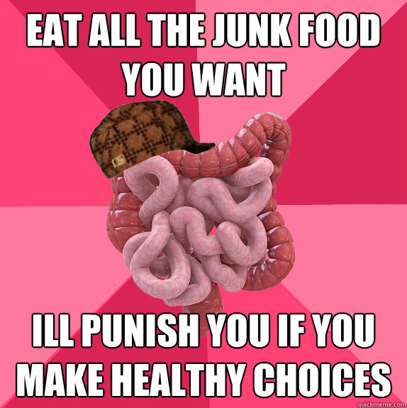 eat all the junk food you want ill punish you if you make healthy choices  Scumbag Intestines