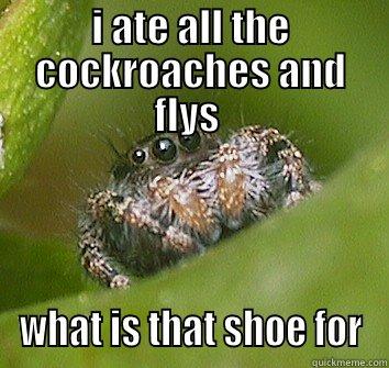 I ATE ALL THE COCKROACHES AND FLYS  WHAT IS THAT SHOE FOR Misunderstood Spider