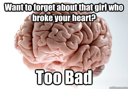 Want to forget about that girl who broke your heart? Too Bad   Scumbag Brain