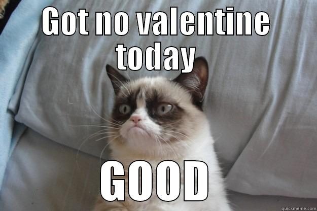 GOT NO VALENTINE TODAY GOOD Grumpy Cat