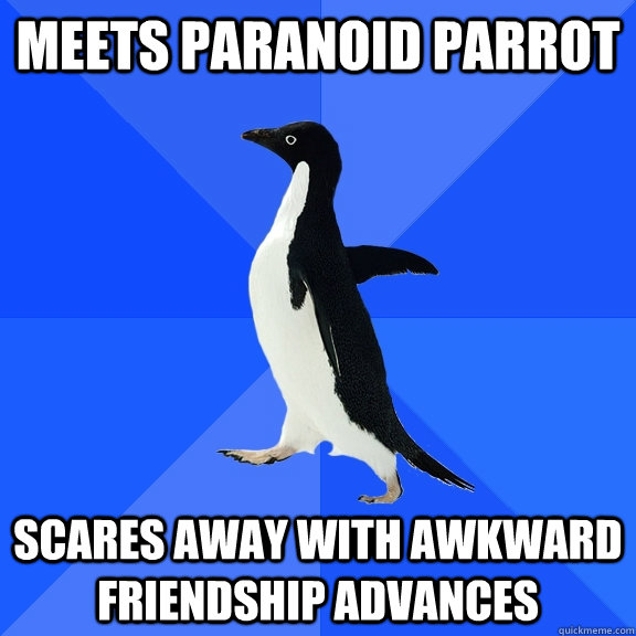 meets paranoid parrot scares away with awkward friendship advances  Socially Awkward Penguin