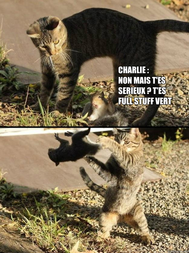 Charlie : 
non mais t'es serieux ? t'es full stuff vert  Annoying Squirrel