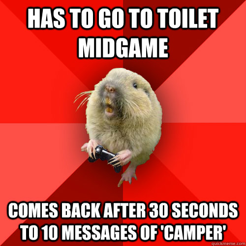 Has to go to toilet midgame Comes back after 30 seconds to 10 messages of 'Camper' - Has to go to toilet midgame Comes back after 30 seconds to 10 messages of 'Camper'  Gaming Gopher