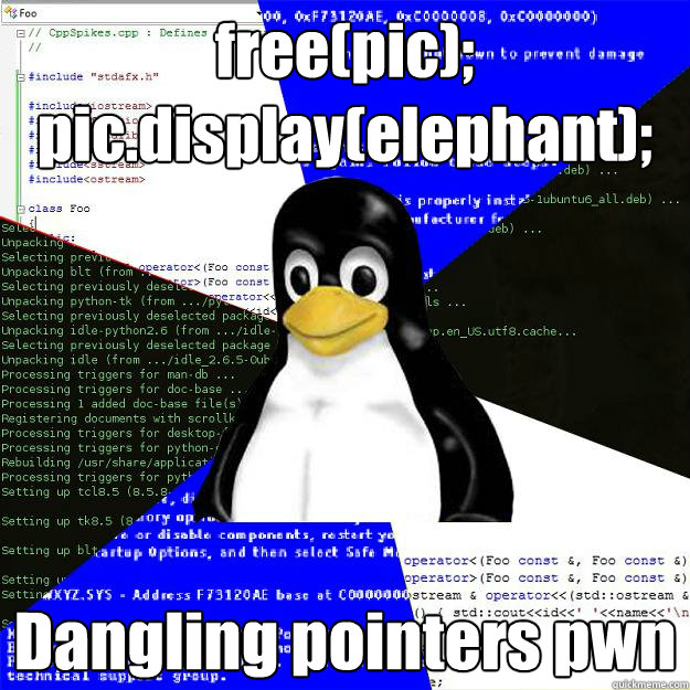 free(pic); pic.display(elephant); Dangling pointers pwn  Computer Science Penguin