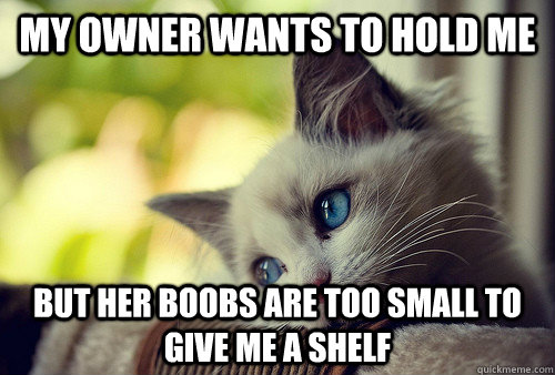 My owner wants to hold me but her boobs are too small to give me a shelf  First World Problems Cat